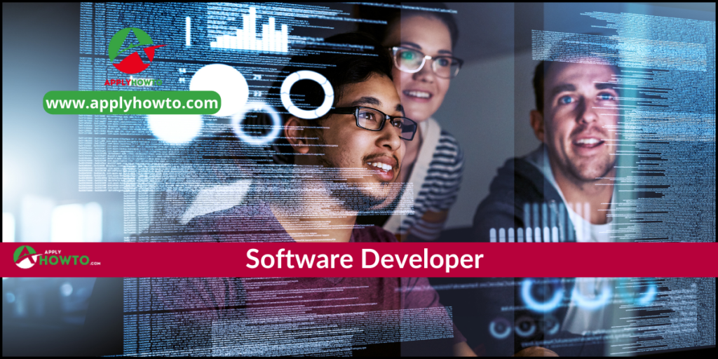 Software Developer